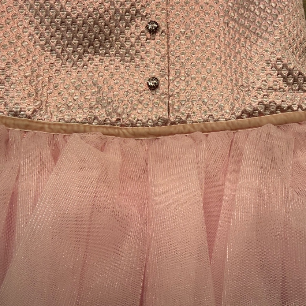 Catherine Malandrino Pink Tulle Shimmer Dress - Picture 7 of 9